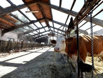 20161108 allevamenti terremoto marche 430x323