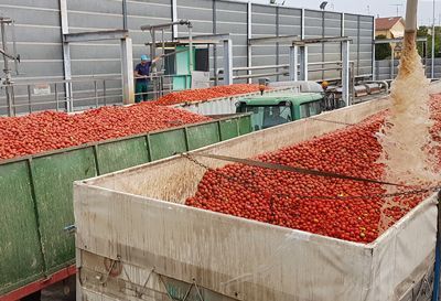 carro pomodoro