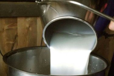 latte versato