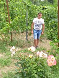 DavideSacchi