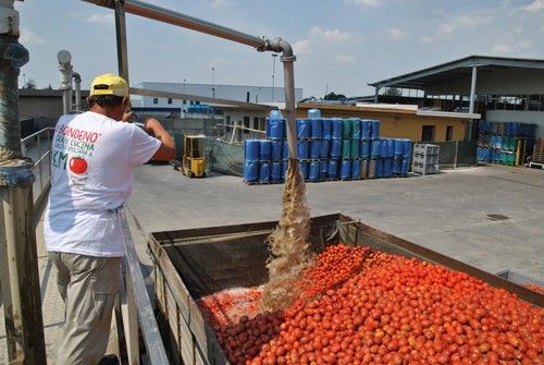 pomodoro da industria
